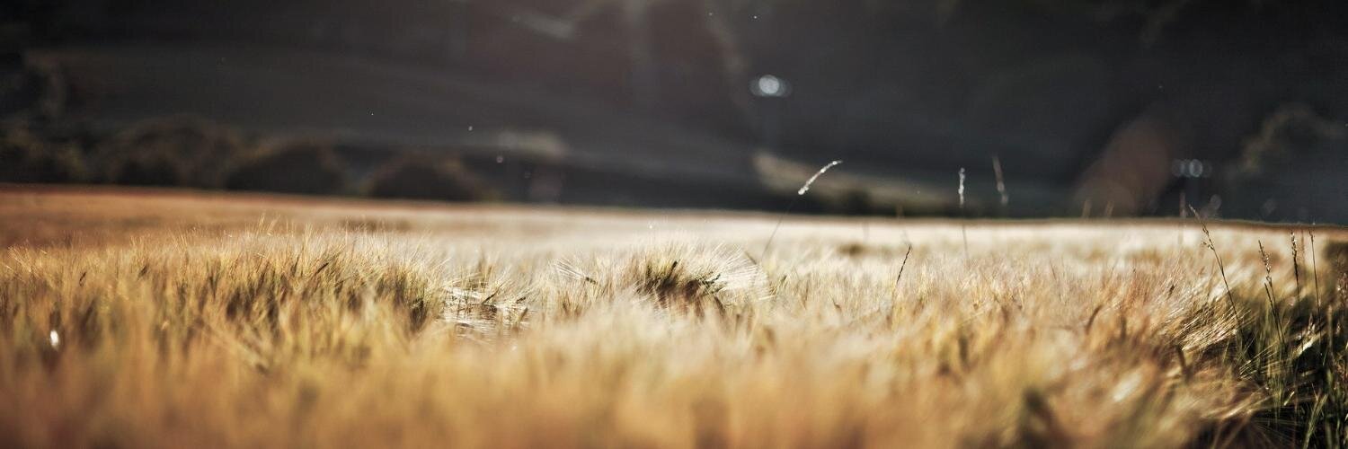 enesemin's profile banner image