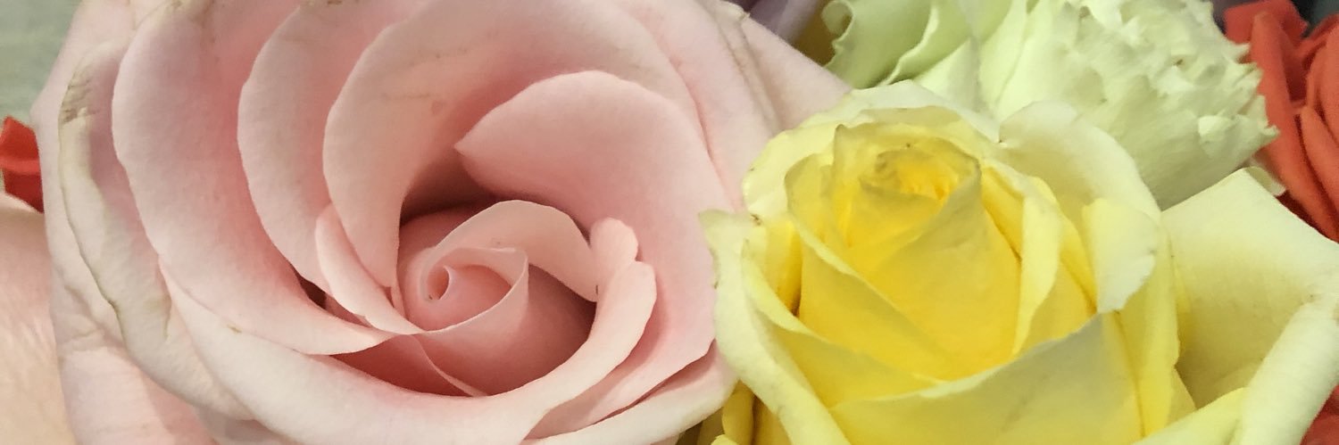 EmilyChapelle's profile banner image