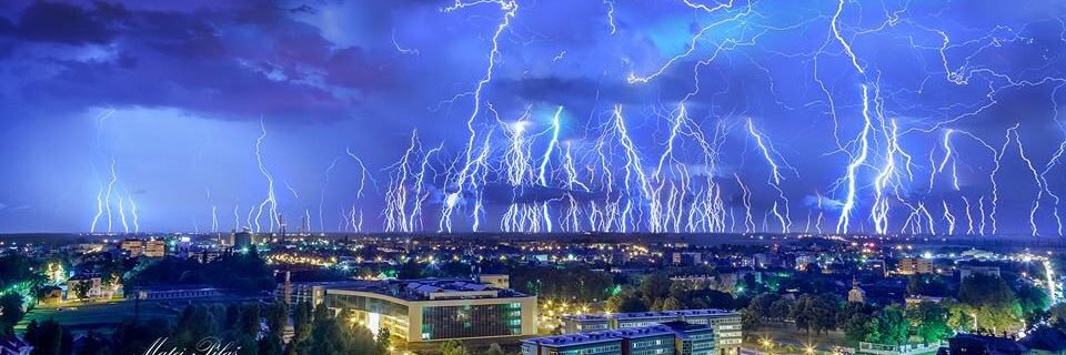 Sanda Erdelez banner