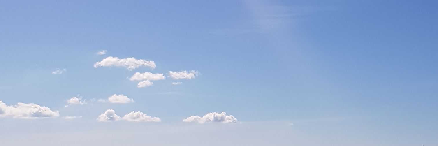 Monika Mortensen banner