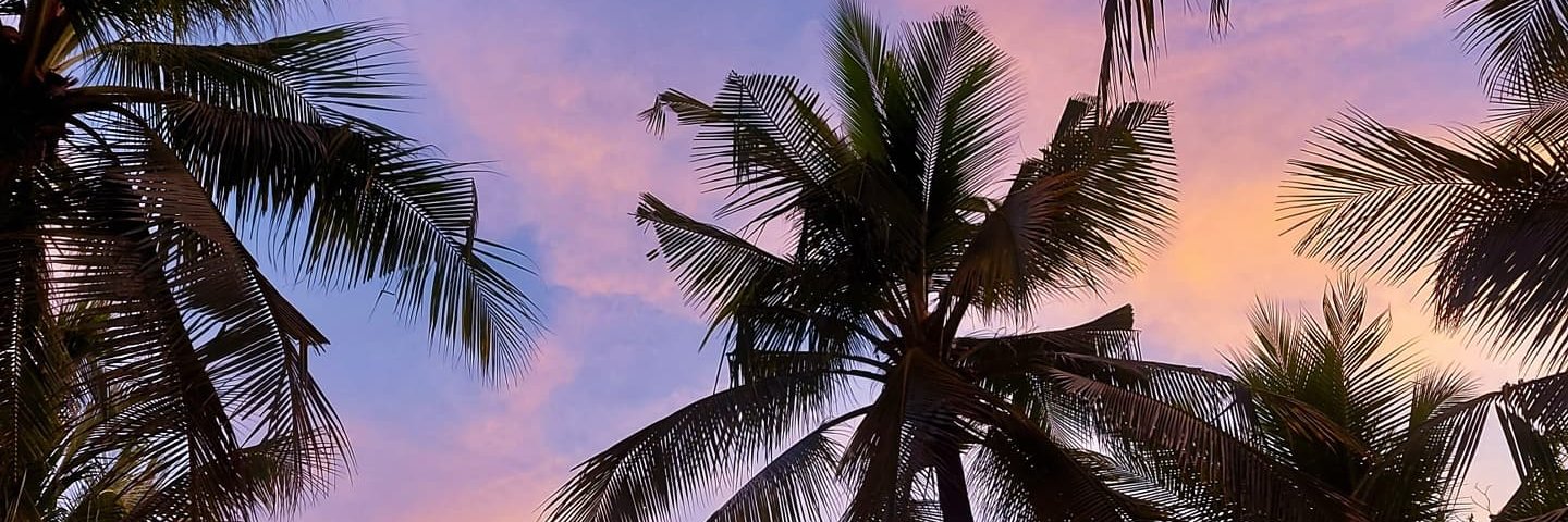 maibonje's profile banner image
