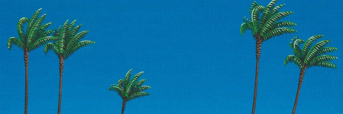piotrbakker's profile banner image