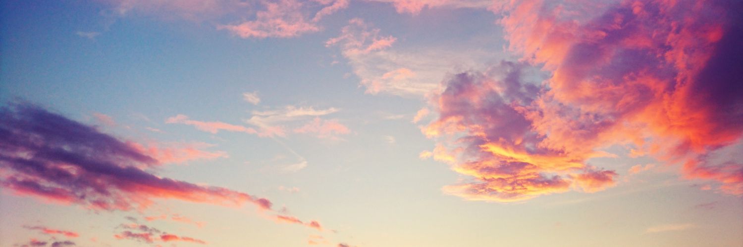 serin_rayner's profile banner image