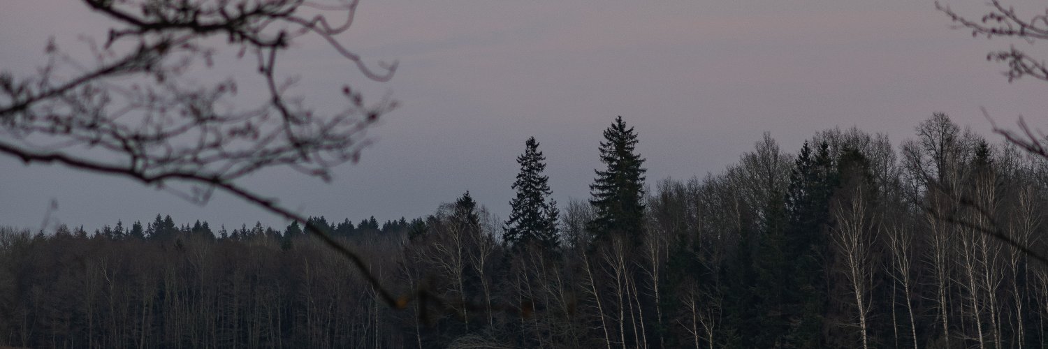 tom_happinesss's profile banner image