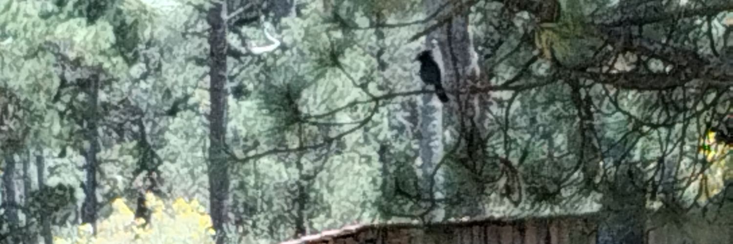 jmamtz's profile banner image