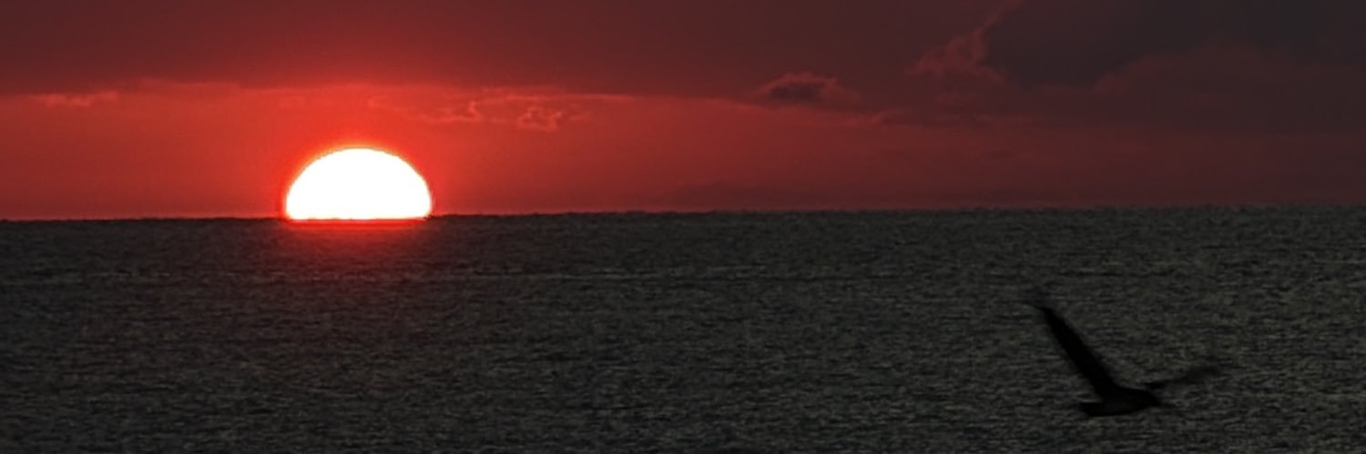 nai. banner