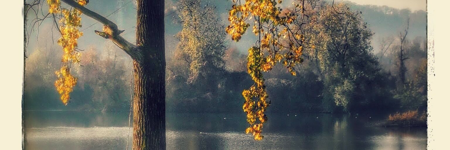 DanielaMario11's profile banner image