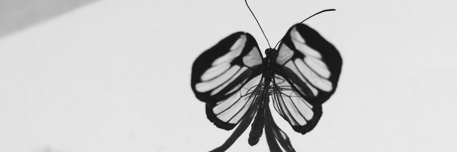 AndreeaE_'s profile banner image