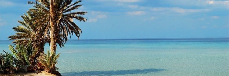busaud213's profile banner image