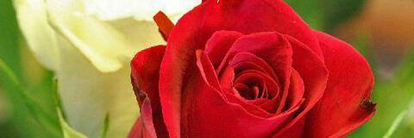 Prisca_b1 Profile Banner