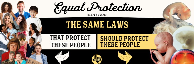 Abolish Abortion Texas's banner