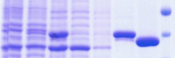 Tobias Schubeis banner