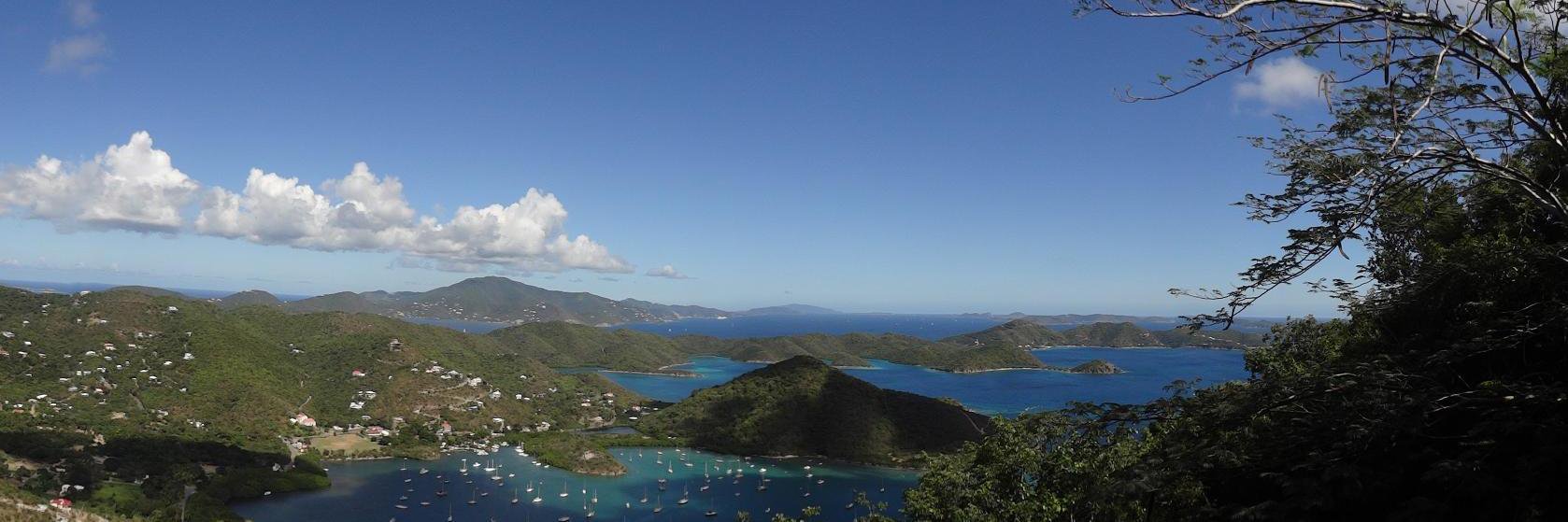 Andrew Lock "Sock" banner