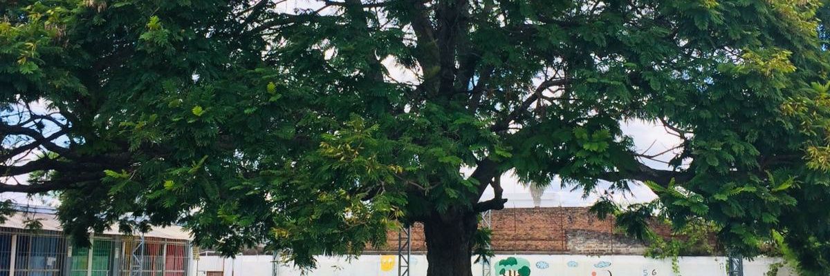leoboneok's profile banner image