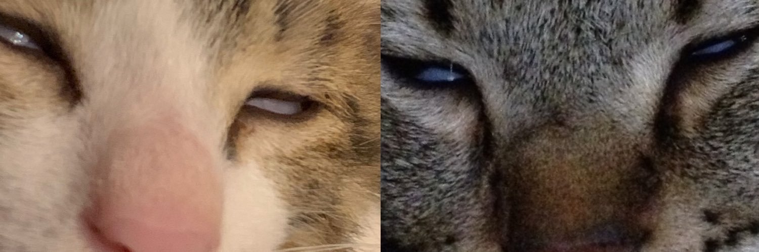 a_u000's profile banner image