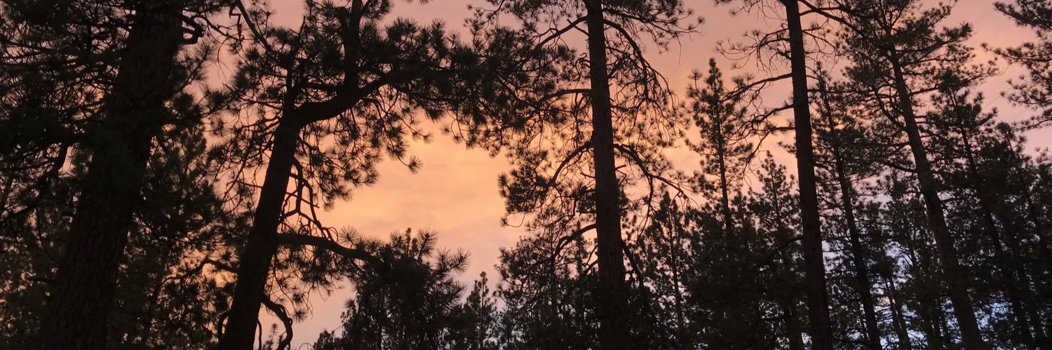 allysiarazon's profile banner image