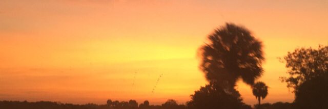 hmohr1335's profile banner image