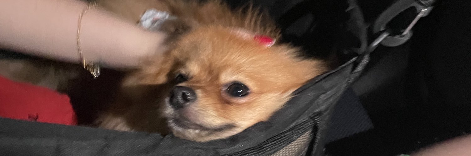 jozifleury's profile banner image