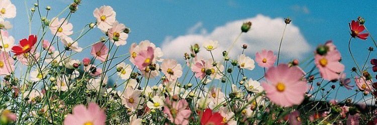 helloimcamille's profile banner image