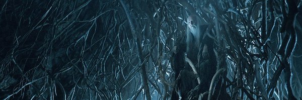 Tweiresias Profile Banner