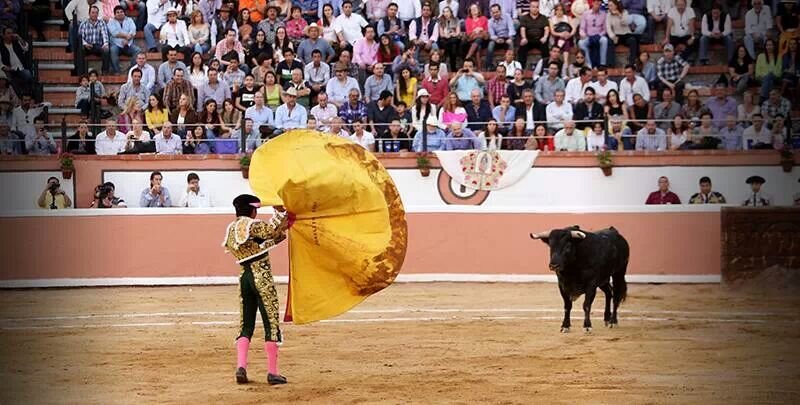 Michelle P. Alanis banner