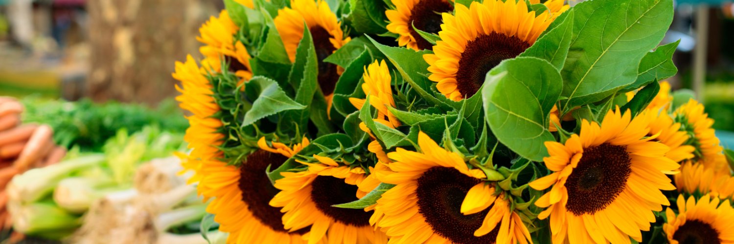 nutleyfm's profile banner image
