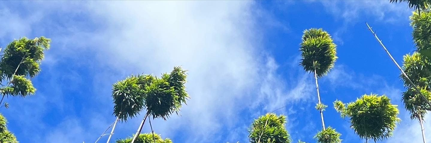 deardaniek's profile banner image
