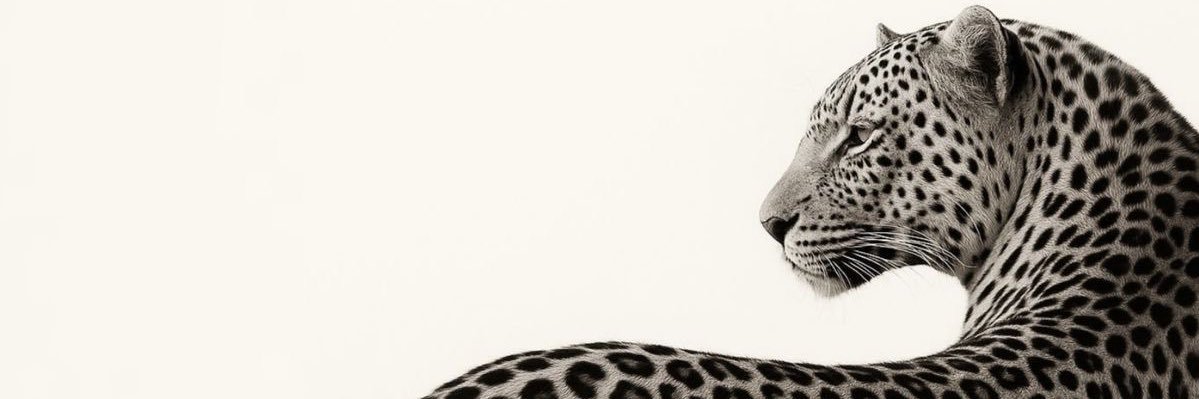albaml_514's profile banner image