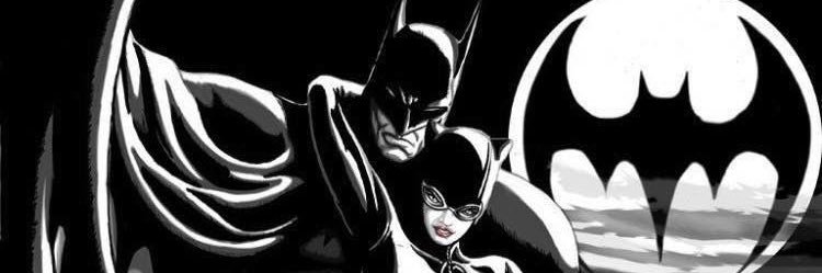Catwoman banner