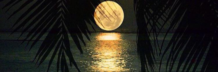 Car_tilla's profile banner image