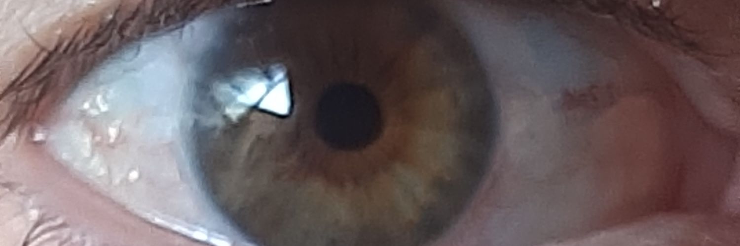 Fretess's profile banner image