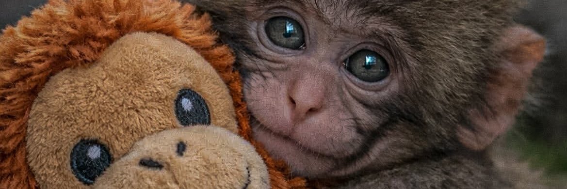 Laura_No_Esta0's profile banner image