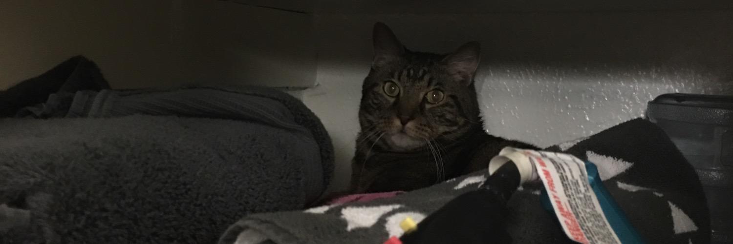 (΄◉◞౪◟◉｀) banner