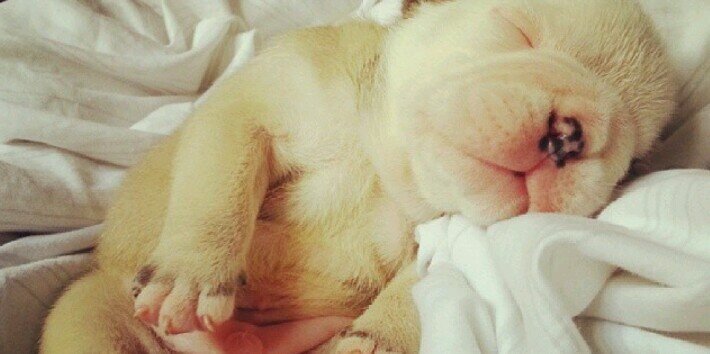 pausabella's profile banner image