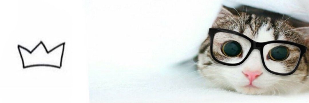lauraby14's profile banner image