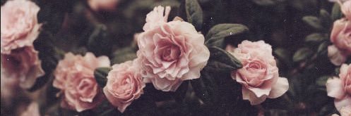 Han_lj's profile banner image