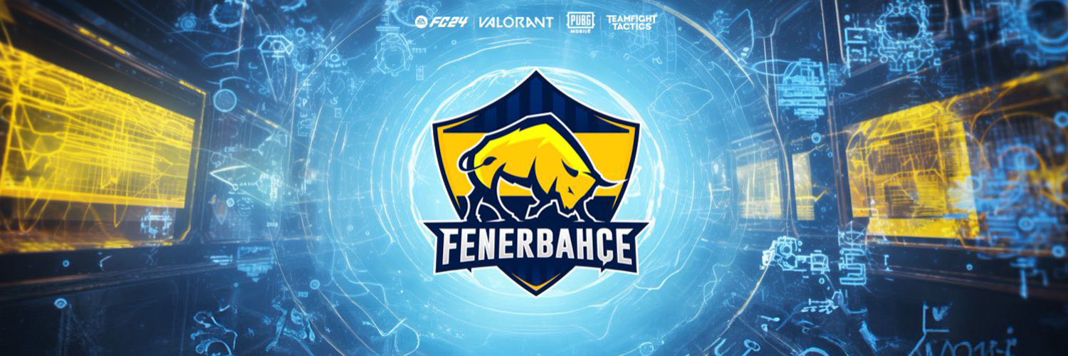 Fenerbahçe Espor Profile Banner