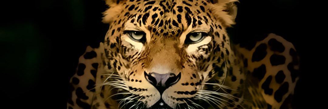 Cesar Castillo banner