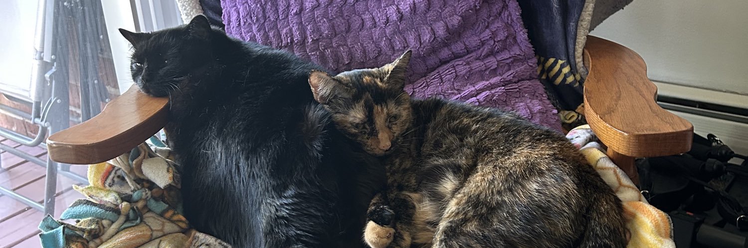 18audreyrose's profile banner image