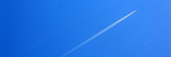 cecifercas Profile Banner