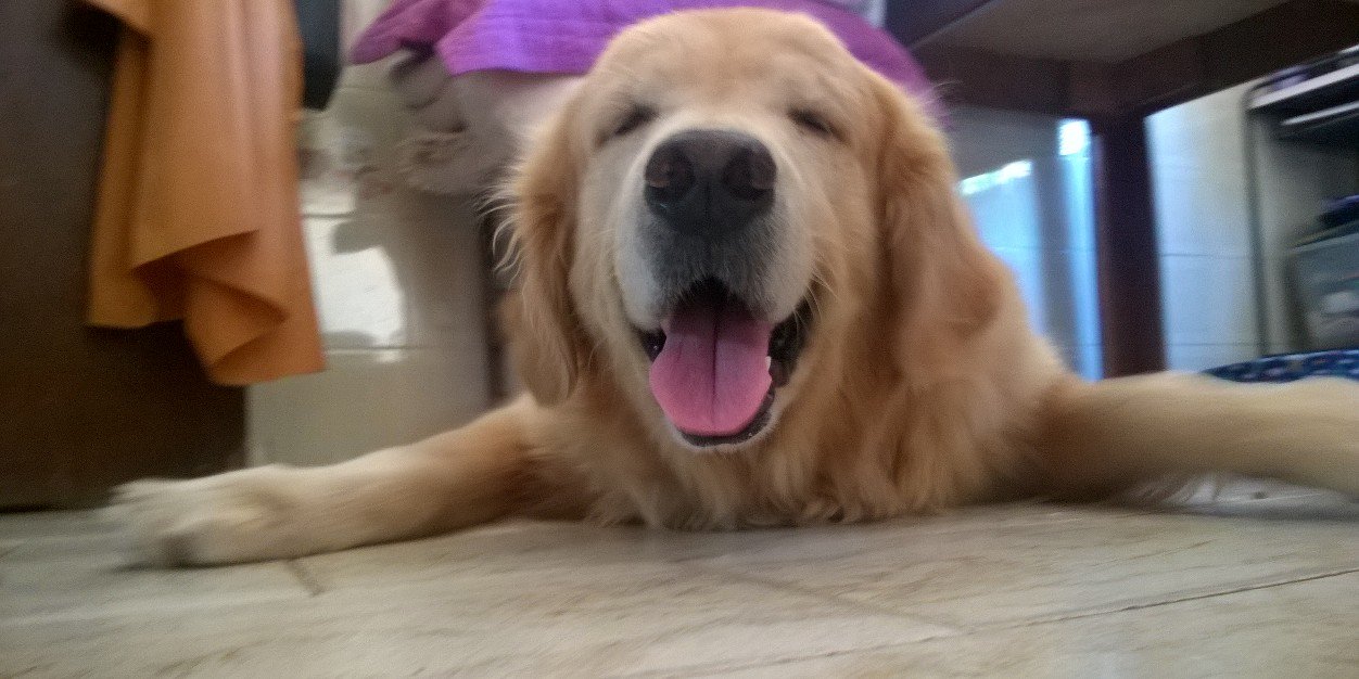 Raphael Belisario banner