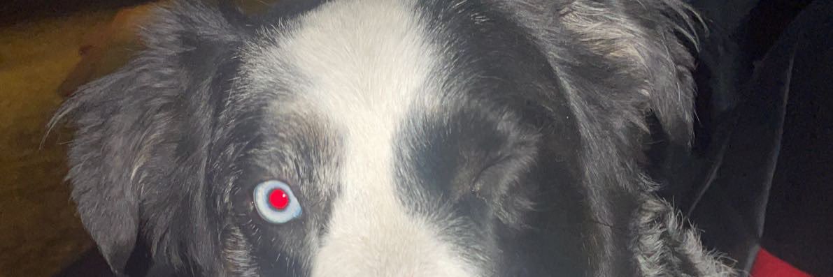RYRYN_22's profile banner image