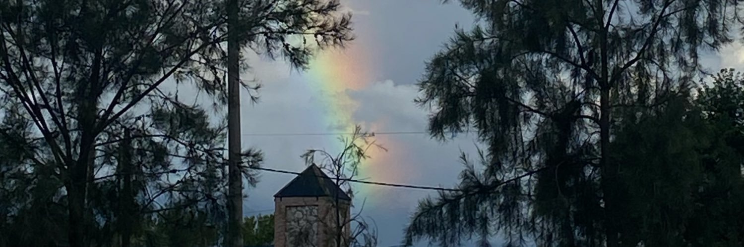 TeoMachuca's profile banner image