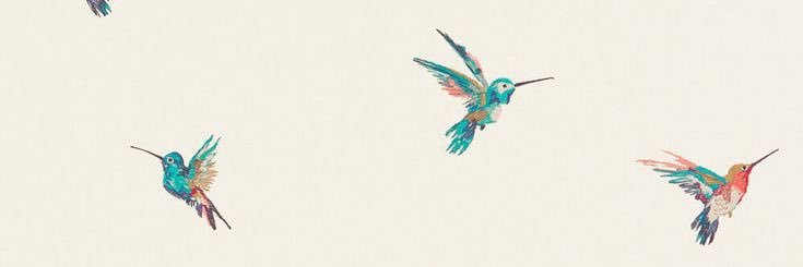 flormaggiori's profile banner image