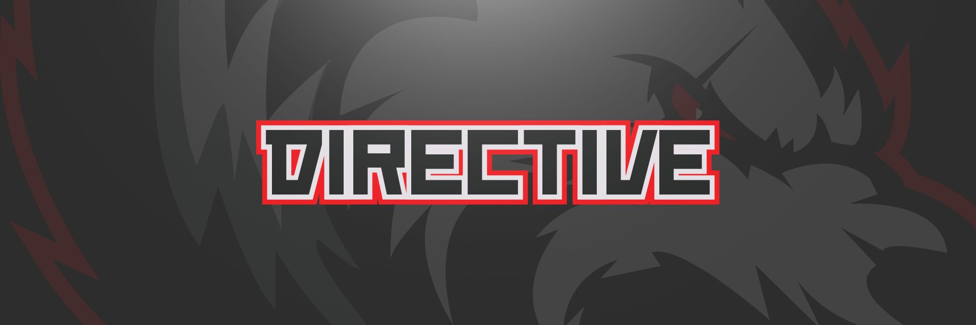 DirectiveOrg's profile banner image