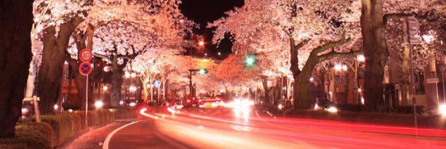 lau_stacey's profile banner image