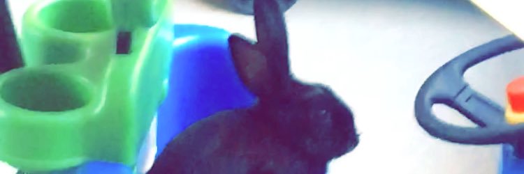 brendagp94's profile banner image