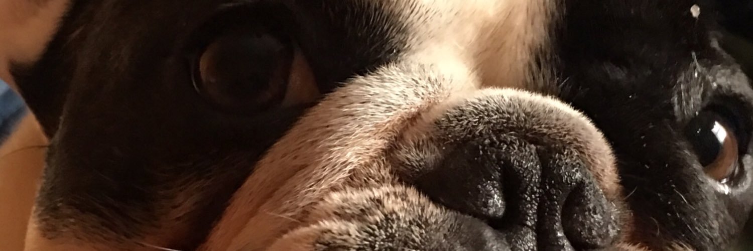 Sonyahatem's profile banner image