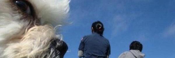 juliannewagg's profile banner image