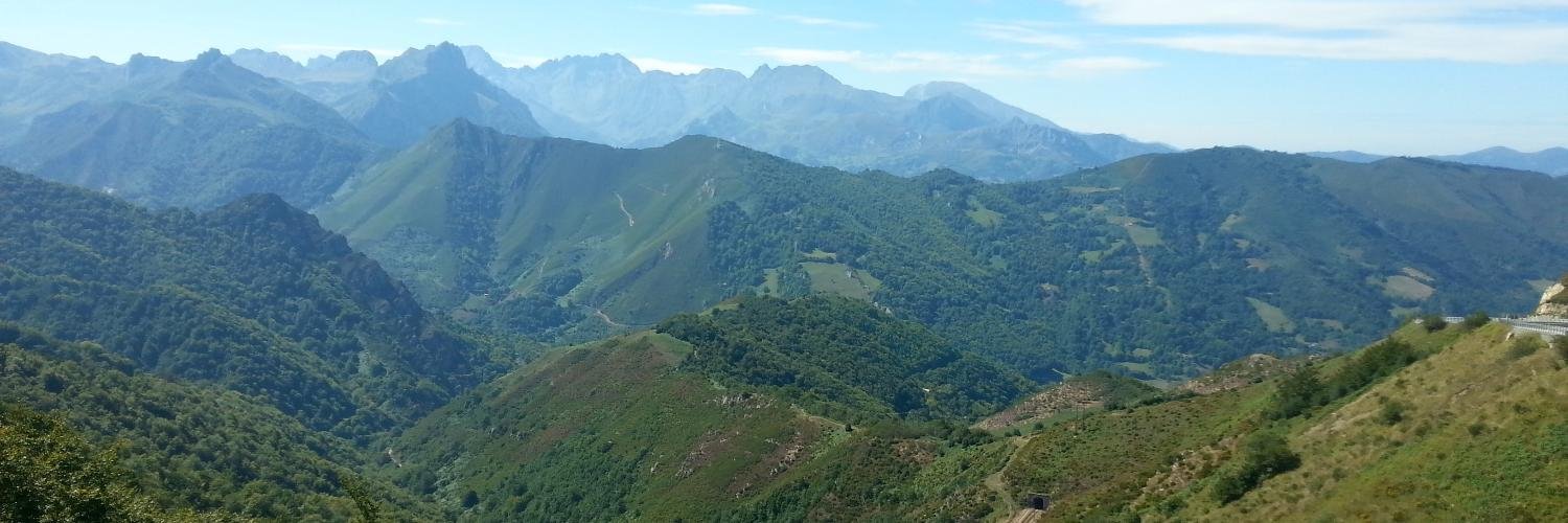 CubeElena's profile banner image